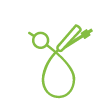Icon for Catheters